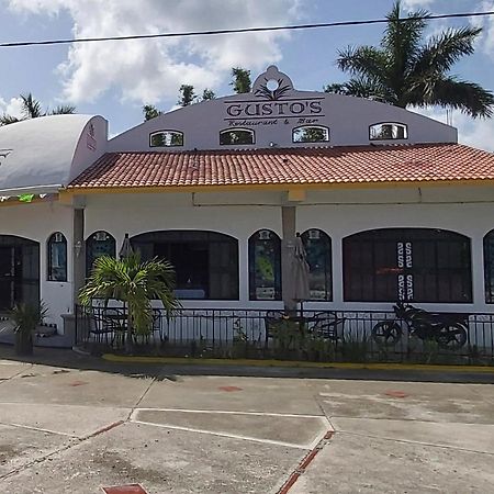 New! Casa Xola Cenote And Fauna Loft Cozumel Exteriör bild