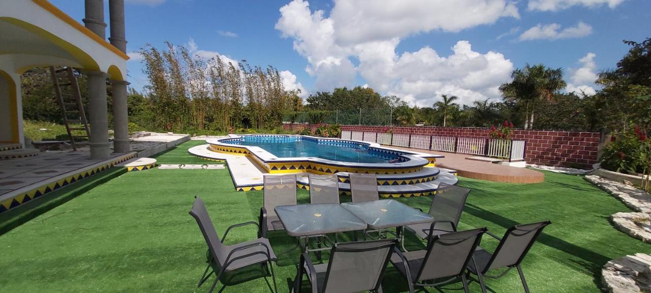 New! Casa Xola Cenote And Fauna Loft Cozumel Exteriör bild