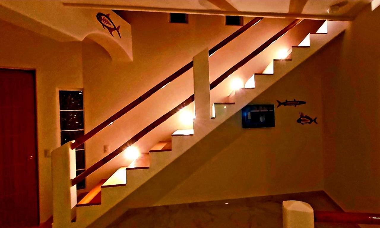 New! Casa Xola Cenote And Fauna Loft Cozumel Exteriör bild