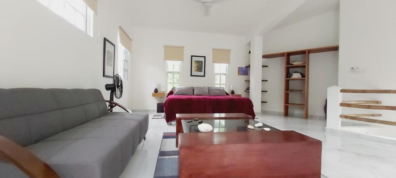 New! Casa Xola Cenote And Fauna Loft Cozumel Exteriör bild