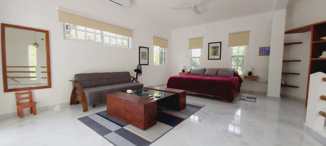 New! Casa Xola Cenote And Fauna Loft Cozumel Exteriör bild