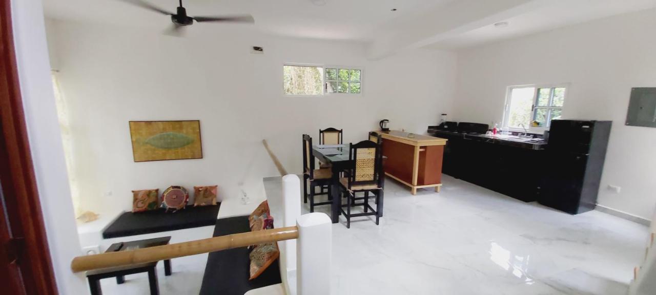 New! Casa Xola Cenote And Fauna Loft Cozumel Exteriör bild